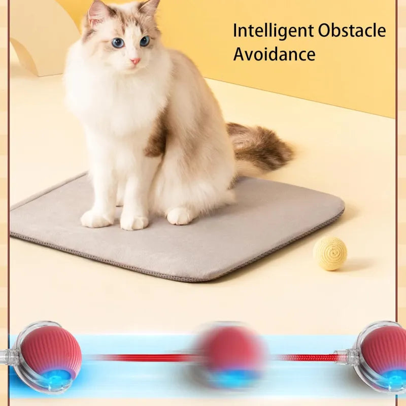360 Smart Automatic Rolling Pet Ball WEM Support (www.WEM.support)