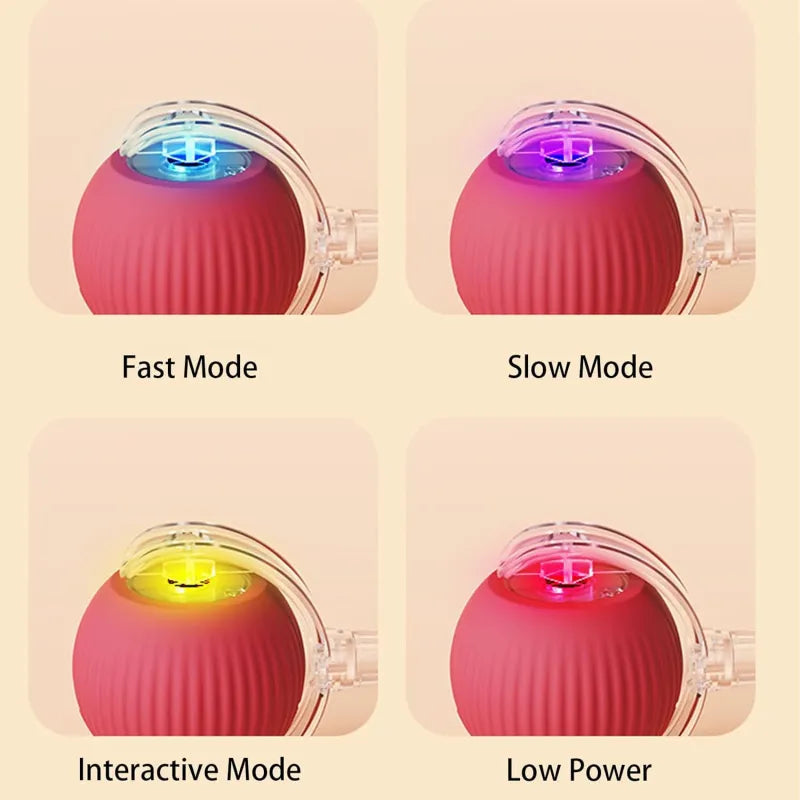 360 Smart Automatic Rolling Pet Ball WEM Support (www.WEM.support)