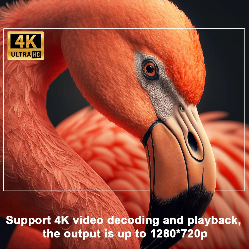 Transpeed 4K Android 11 Projector WEM Support (www.WEM.support)