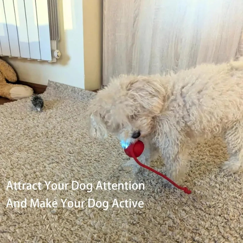 360 Smart Automatic Rolling Pet Ball WEM Support (www.WEM.support)