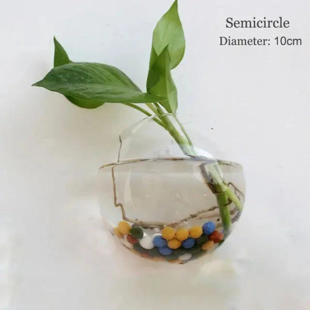 Wall Hanging Glass Vase Made from high-quality, durable glass, this vase is perfect for displaying your favorite flowers, plants, or decorative accents. My Store