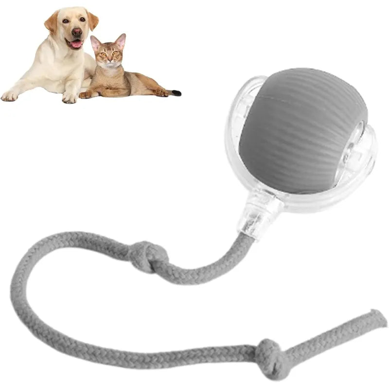 360 Smart Automatic Rolling Pet Ball WEM Support (www.WEM.support)