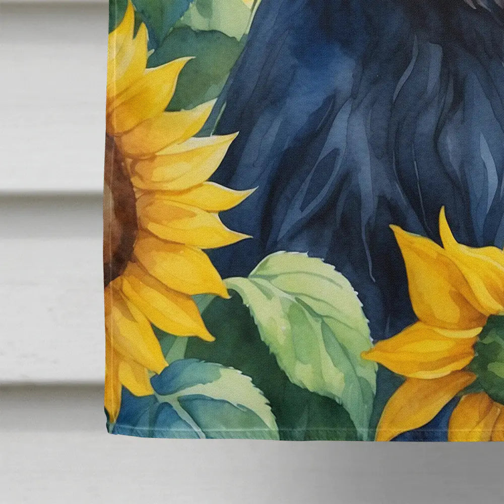 Affenpinscher in Sunflowers House Flag WEM Support (www.WEM.support)
