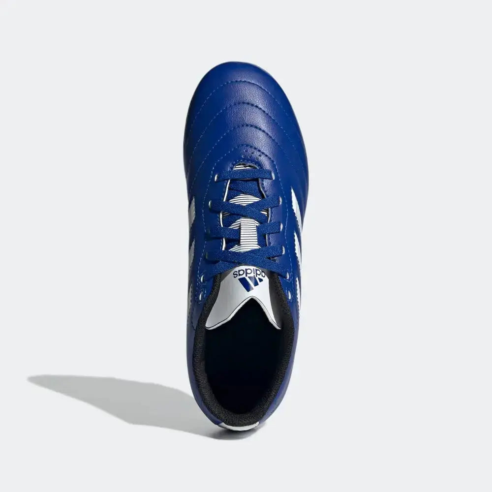 Adidas Unisex-Child Goletto VIII Firm Ground Soccer Shoe 11 Little Kid Team Royal Blue/White/Black, Goletto VIII Soccer Shoe My Store