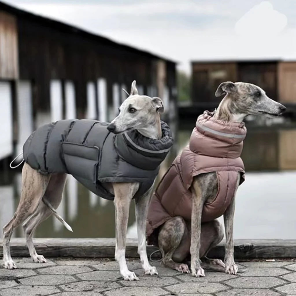 Thermal Dog Vest HejK.com Marketplace LLC