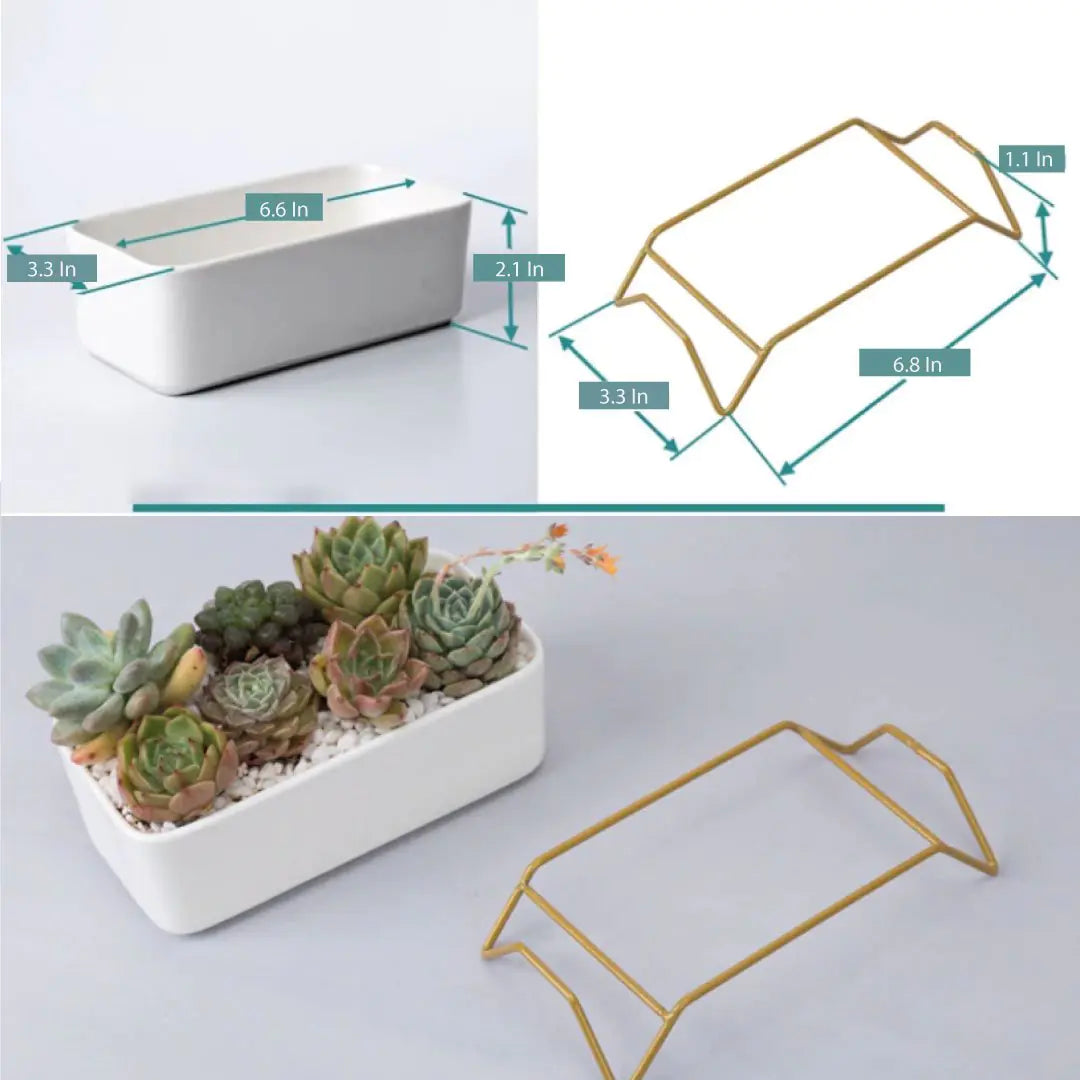 Succulent Planter-Supported WEM Support (www.WEM.support)