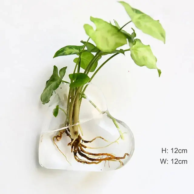 Wall Hanging Glass Vase Made from high-quality, durable glass, this vase is perfect for displaying your favorite flowers, plants, or decorative accents. My Store