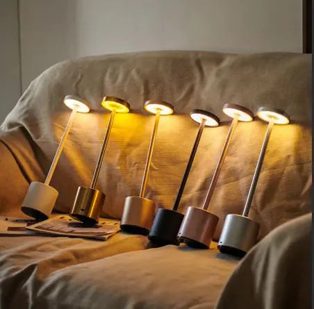 Adjustable Brightness LED Lamp