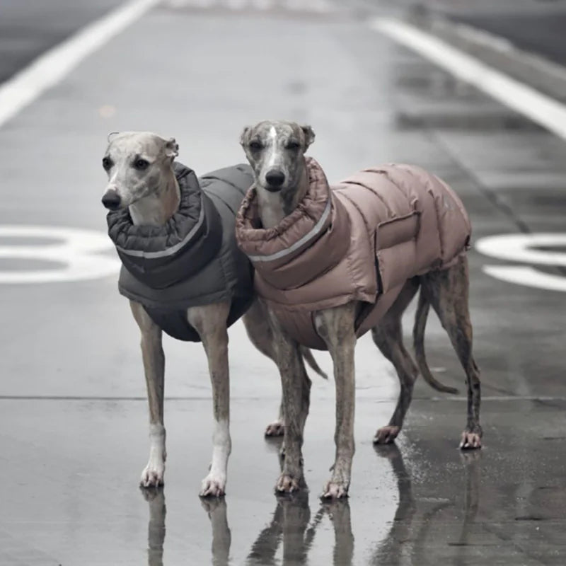 Thermal Dog Vest HejK.com Marketplace LLC