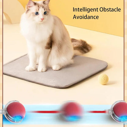 360 Smart Automatic Rolling Pet Ball WEM Support (www.WEM.support)