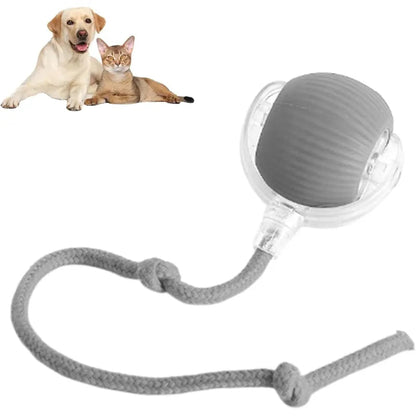 360 Smart Automatic Rolling Pet Ball WEM Support (www.WEM.support)