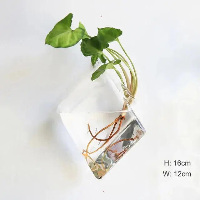 Wall Hanging Glass Vase Made from high-quality, durable glass, this vase is perfect for displaying your favorite flowers, plants, or decorative accents. My Store