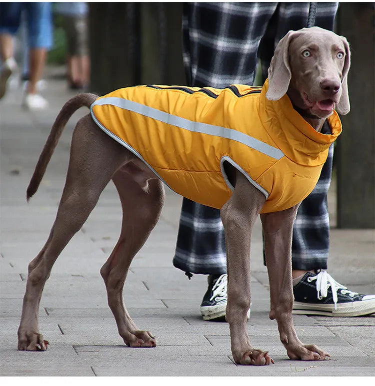 Thickened dog clothes windproof pet jacket WEM Support (www.WEM.support)