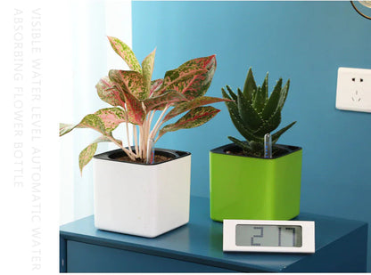 Water-Absorbing Planter HejK.com