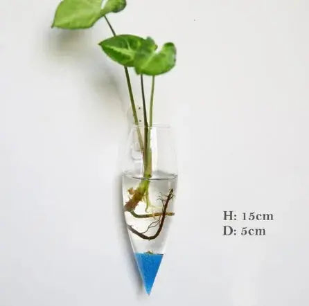 Wall Hanging Glass Vase Made from high-quality, durable glass, this vase is perfect for displaying your favorite flowers, plants, or decorative accents. My Store