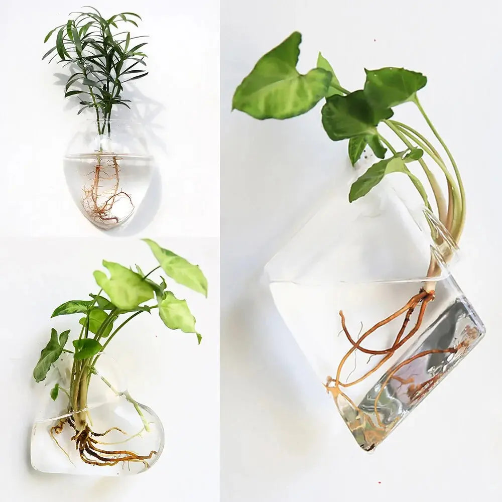 Wall Hanging Glass Vase Made from high-quality, durable glass, this vase is perfect for displaying your favorite flowers, plants, or decorative accents. My Store