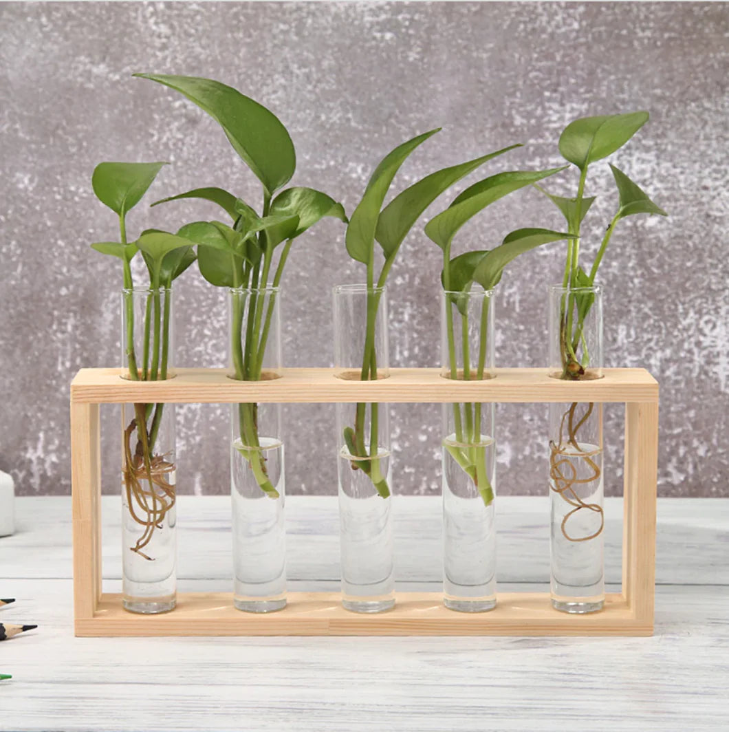 5 Vase set WEM Support (www.WEM.support)