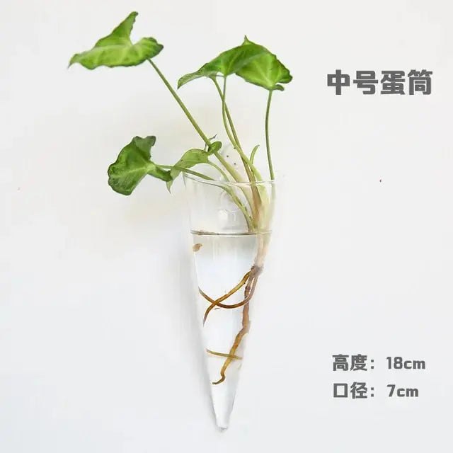 Wall Hanging Glass Vase Made from high-quality, durable glass, this vase is perfect for displaying your favorite flowers, plants, or decorative accents. My Store