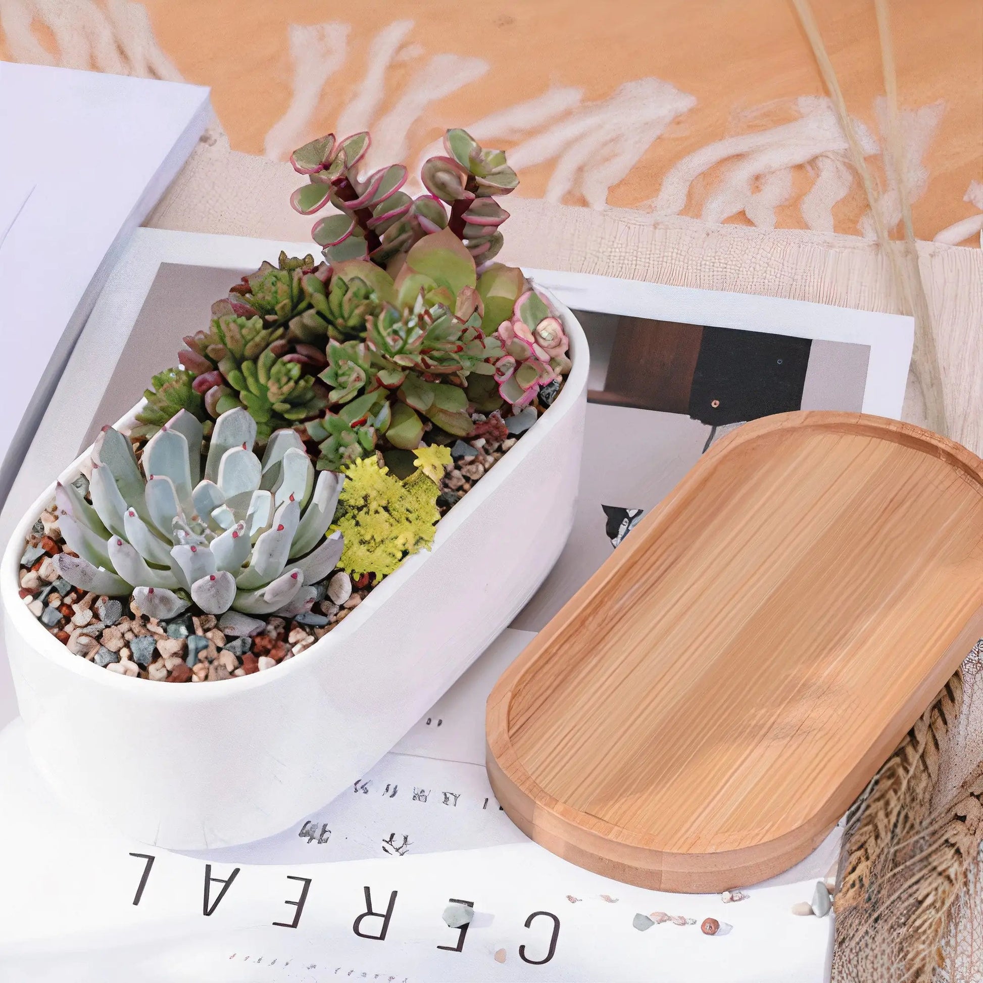 Succulent Planter -Elongated HejK.com