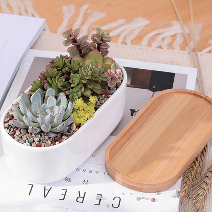 Succulent Planter -Elongated HejK.com