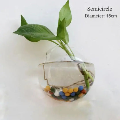 Wall Hanging Glass Vase Made from high-quality, durable glass, this vase is perfect for displaying your favorite flowers, plants, or decorative accents. My Store
