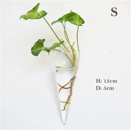 Wall Hanging Glass Vase Made from high-quality, durable glass, this vase is perfect for displaying your favorite flowers, plants, or decorative accents. My Store