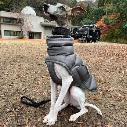 Thermal Dog Vest HejK.com Marketplace LLC