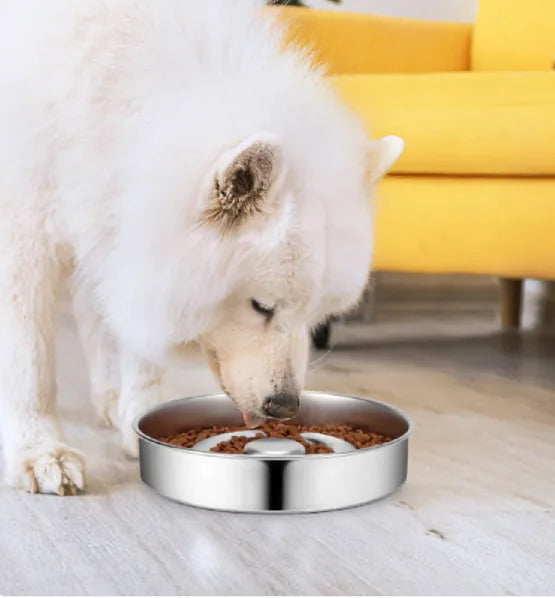Stainless Steel Pet Slow Feeder WEM Support (www.WEM.support)