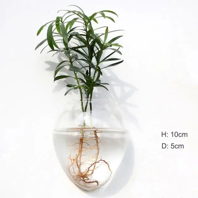 Wall Hanging Glass Vase Made from high-quality, durable glass, this vase is perfect for displaying your favorite flowers, plants, or decorative accents. My Store