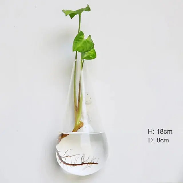 Wall Hanging Glass Vase Made from high-quality, durable glass, this vase is perfect for displaying your favorite flowers, plants, or decorative accents. My Store