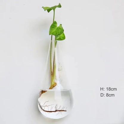 Wall Hanging Glass Vase Made from high-quality, durable glass, this vase is perfect for displaying your favorite flowers, plants, or decorative accents. My Store