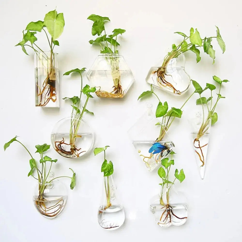 Wall Hanging Glass Vase Made from high-quality, durable glass, this vase is perfect for displaying your favorite flowers, plants, or decorative accents. My Store