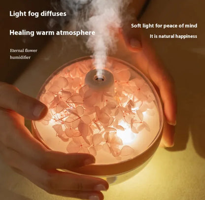 USB Rechargeable Humidifier - HejK.com Marketplace LLC