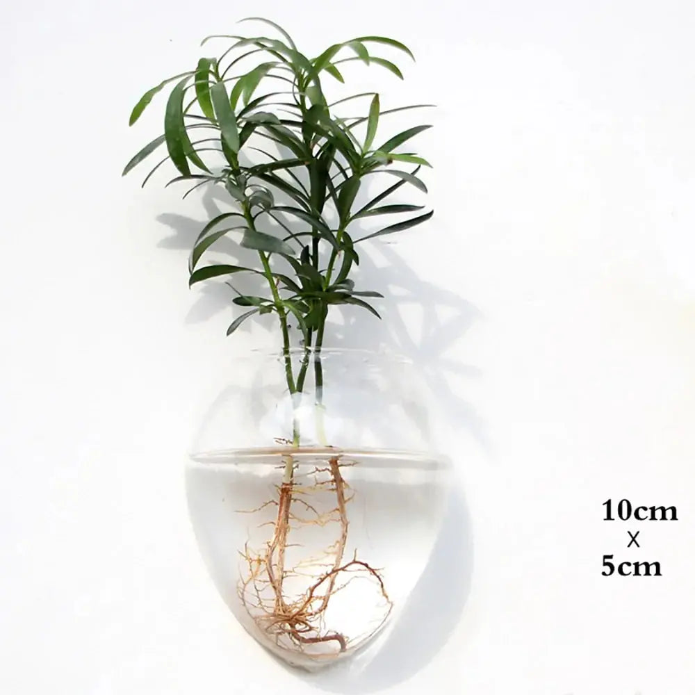 Wall Hanging Glass Vase Made from high-quality, durable glass, this vase is perfect for displaying your favorite flowers, plants, or decorative accents. My Store