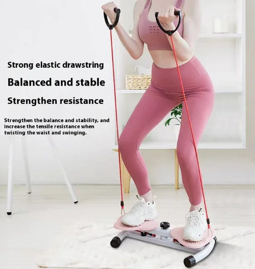 Turntable Large Waist Twist Machine HejK.com