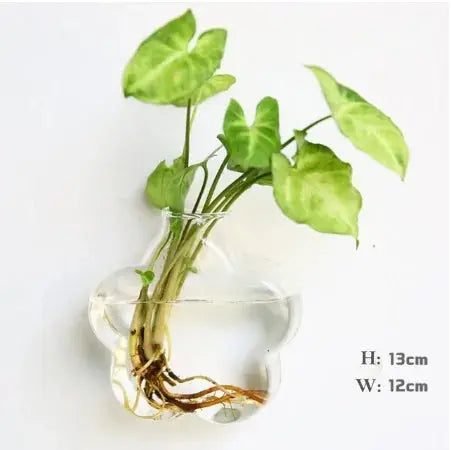 Wall Hanging Glass Vase Made from high-quality, durable glass, this vase is perfect for displaying your favorite flowers, plants, or decorative accents. My Store