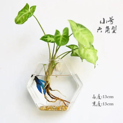 Wall Hanging Glass Vase Made from high-quality, durable glass, this vase is perfect for displaying your favorite flowers, plants, or decorative accents. My Store