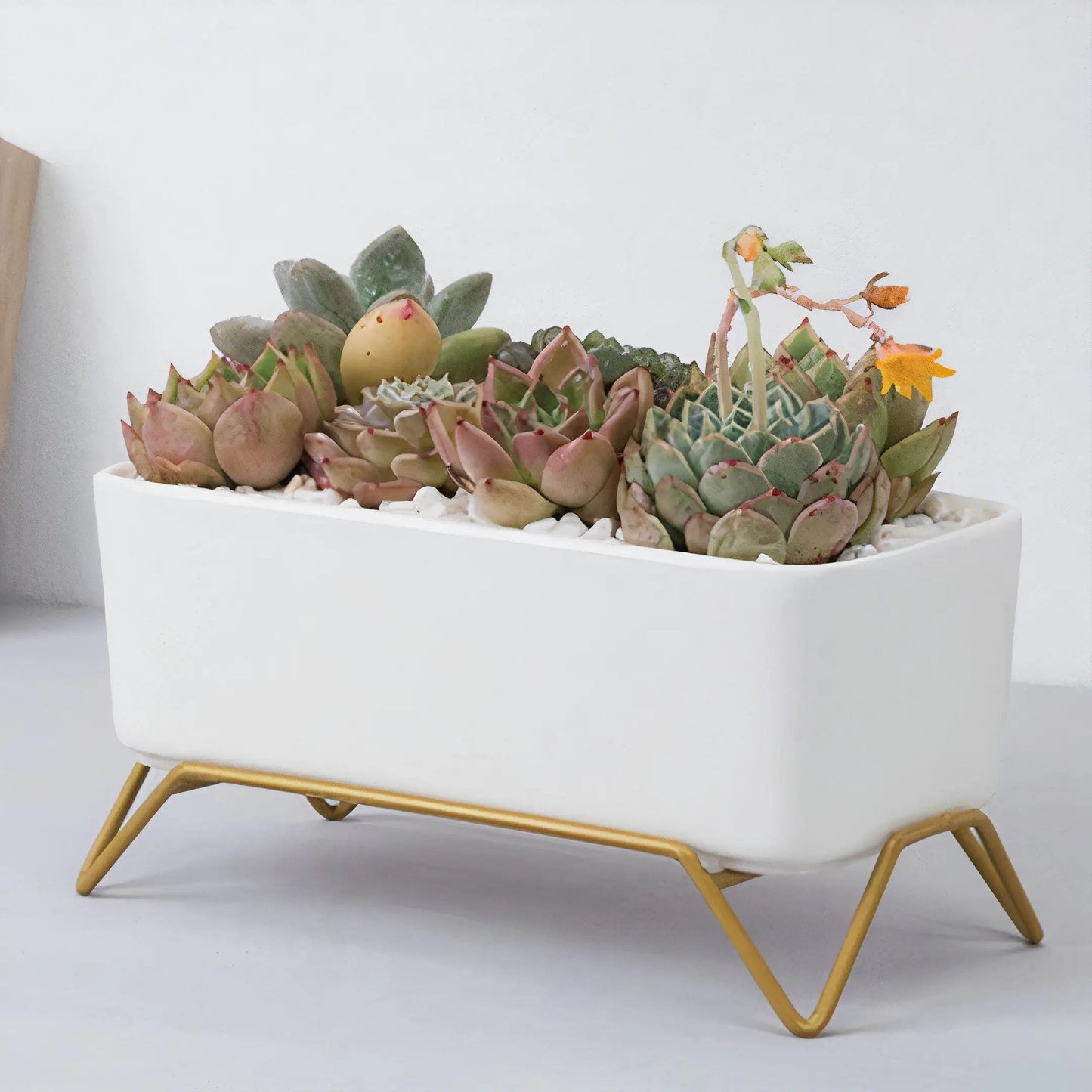 Succulent Planter-Supported WEM Support (www.WEM.support)