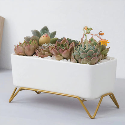 Succulent Planter-Supported WEM Support (www.WEM.support)