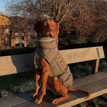Thermal Dog Vest HejK.com Marketplace LLC