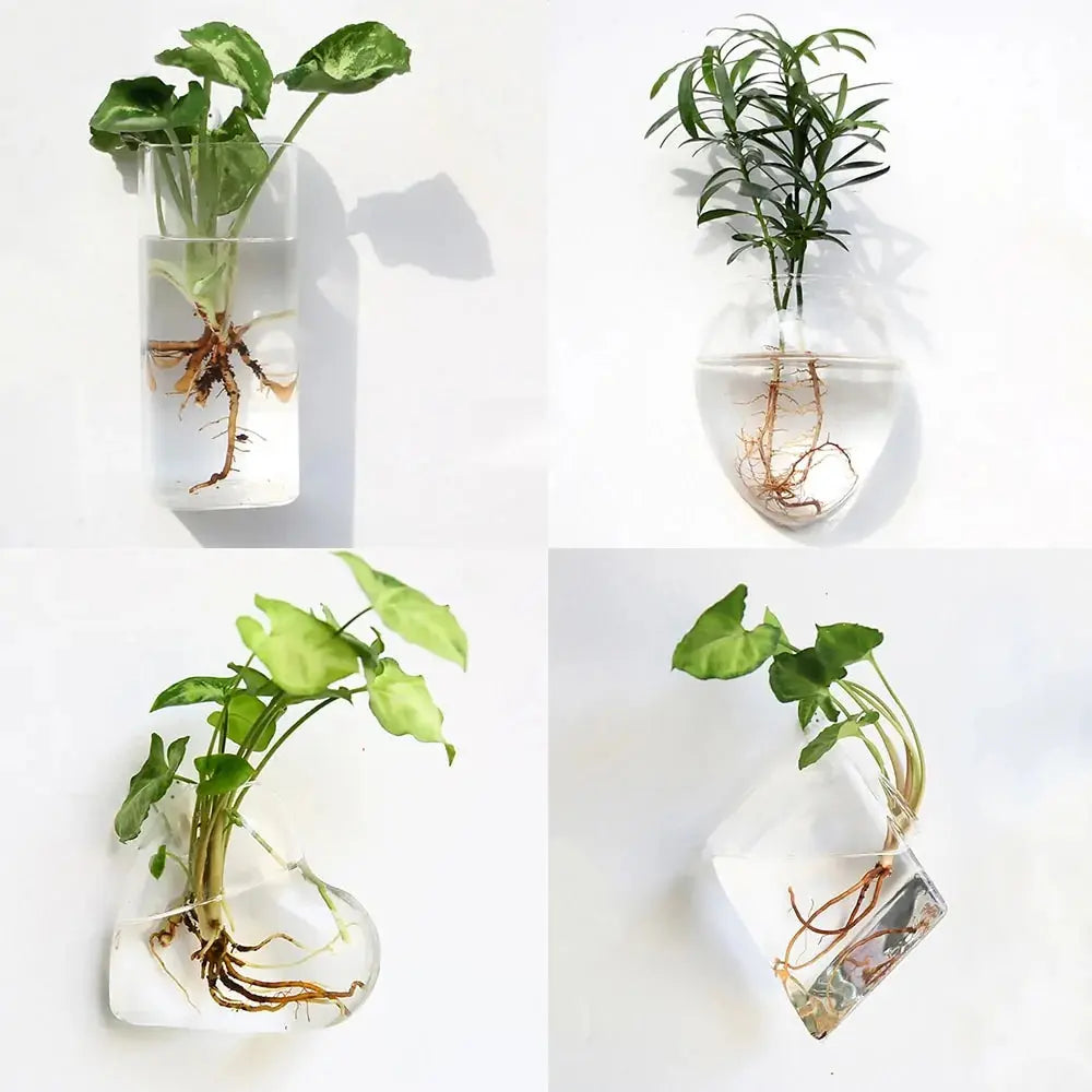 Wall Hanging Glass Vase Made from high-quality, durable glass, this vase is perfect for displaying your favorite flowers, plants, or decorative accents. My Store