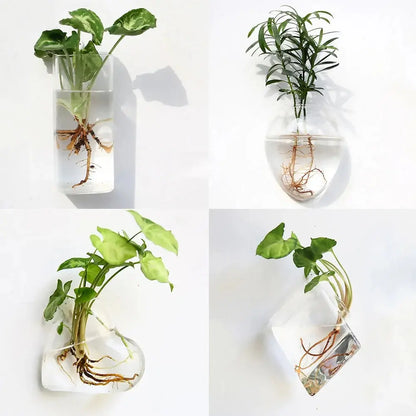 Wall Hanging Glass Vase Made from high-quality, durable glass, this vase is perfect for displaying your favorite flowers, plants, or decorative accents. My Store