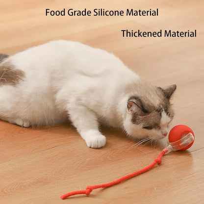 360 Smart Automatic Rolling Pet Ball WEM Support (www.WEM.support)